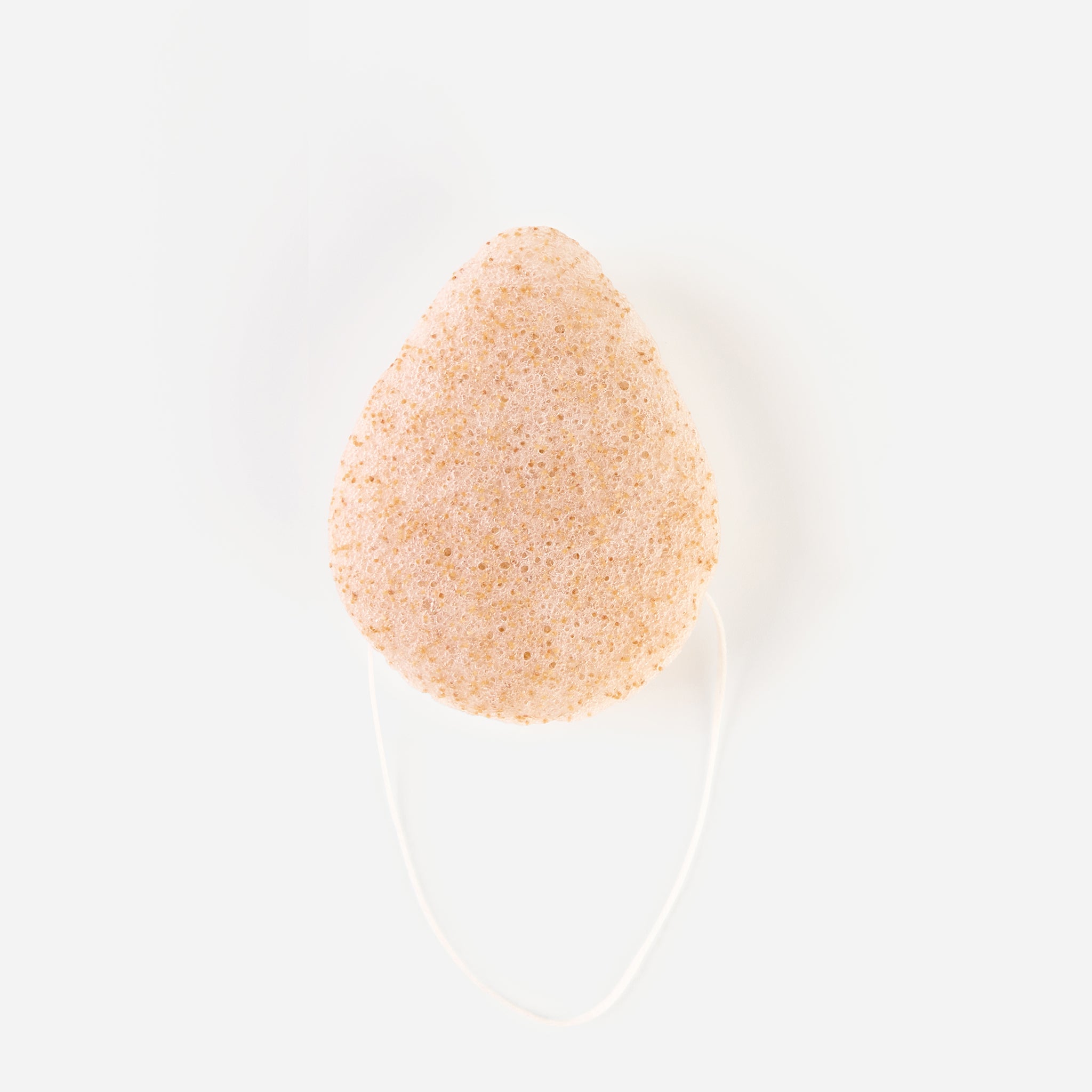 Textured side view of Walnut Konjac Sponge showing natural exfoliating surface