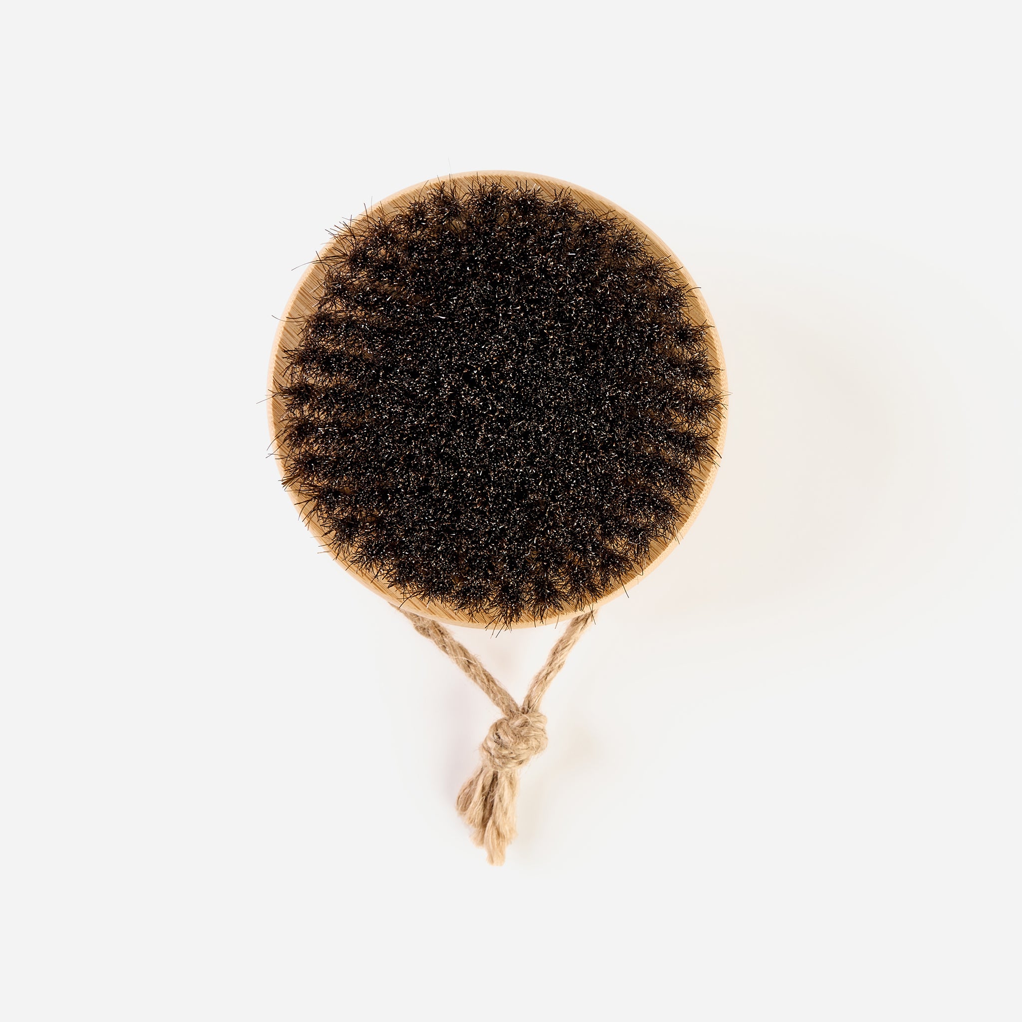 Top-down view of Horsehair Body Brush showing densely packed horsehair bristles