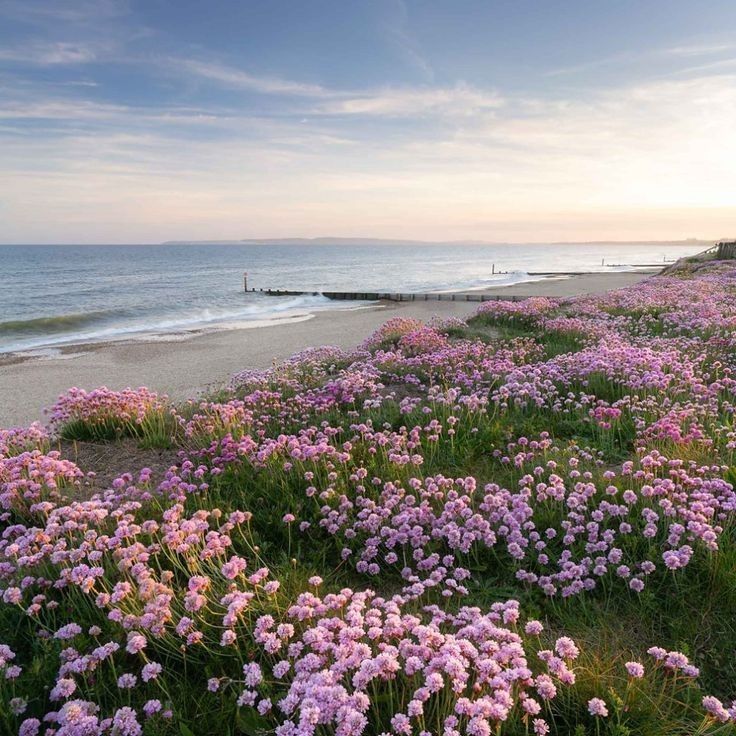 Nordic Rituals for Summer: Ancestral Skincare in the Warmer Months