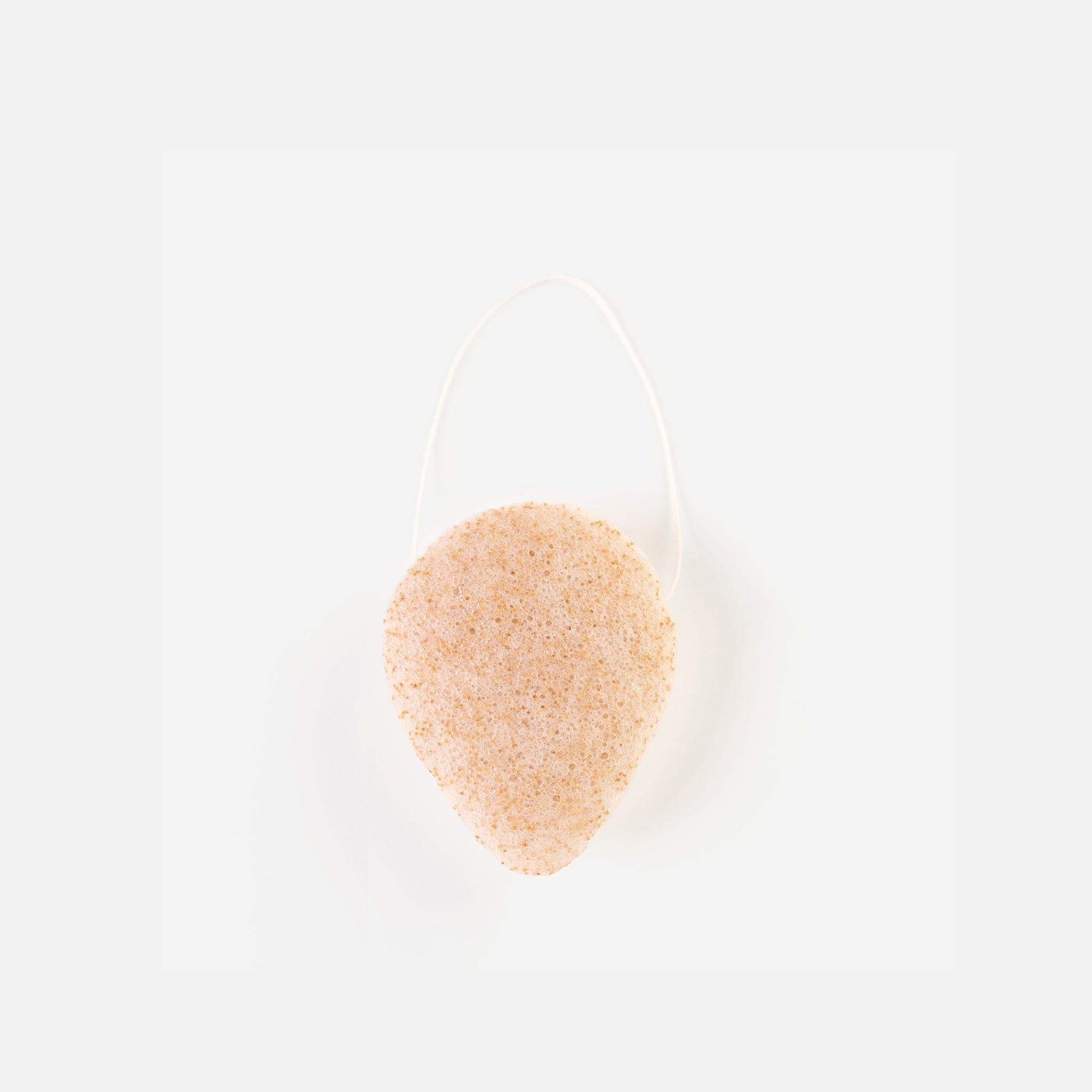 Walnut Konjac Sponge – Natural Face Sponge for Gentle Exfoliation